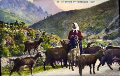 VINTAGE POSTCARD Goat Savoy Folklore Cape Woman