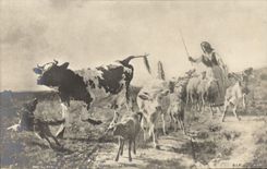 CPA Vache Agneau Chien 