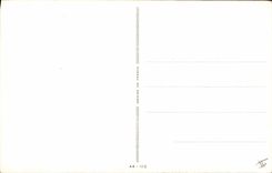 VINTAGE POSTCARD Fantasy American Proud Show-off