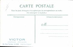 VINTAGE POSTCARD Fantasy Militaria Graduate Dog