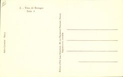 CPA Folklore Tetes de Bretagne Illustrateur Scherbeck 1933