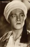 MODERN CARD Cinema Rudolph Valentino the Son of Cheick