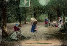 CPA Folklore Les glaneuses de feuilles mortes 