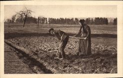 CPA Folklore Culture dans les champs 