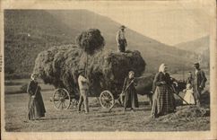VINTAGE POSTCARD Folklore Haymaking (silk chart)