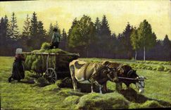 VINTAGE POSTCARD Folklore Haymaking Coach Oxen