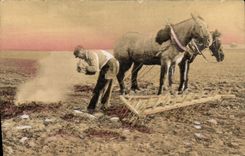 CPA Folklore Hersage Chevaux