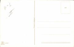 VINTAGE POSTCARD Fantaisie Child Horseshoe Trefle Ladybird Carries Happiness