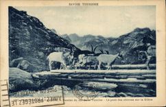 VINTAGE POSTCARD Goat Savoy Pralognan Vanoise Path of the collar of Vanoise the bridge of the goats on Gliere