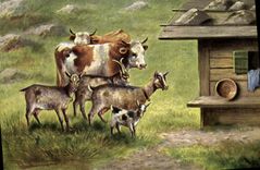 VINTAGE POSTCARD Goat Cow