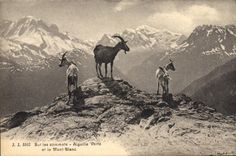 CPA Chevre Sur les sommets Aiguille verte et le Mont Blanc 