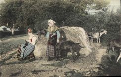 CPA Chevre Jeunes chevrieres 