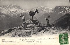 CPA Chevre Sur les sommets Aiguille verte et le Mont Blanc 