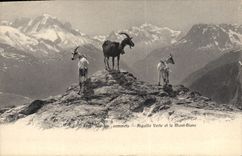 CPA Chevre Sur les sommets Aiguille verte et le Mont Blanc 