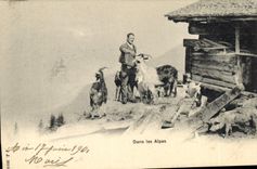 CPA Chevre Dans les Alpes 
