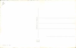 CPA Humour Sauve qui peut Langue