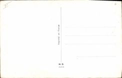 Mujer Poisson fuerte de la playa del humor de la POSTAL de la VENDIMIA