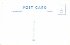 CPA Fantaisie Telephone Just married 