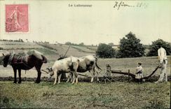 CPA Folklore Le laboureur Attelage 
