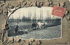 VINTAGE POSTCARD Folklore Ploughing