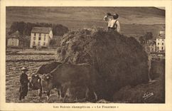 CPA Folklore la fenaison 