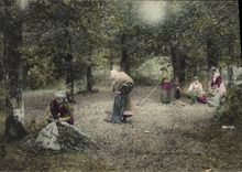 CPA Folklore Les glaneuses de feuilles