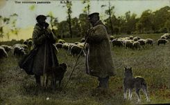 CPA Folklore Une rencontre pastorale Moutons Chien 