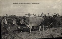 VINTAGE POSTCARD Folklore pastoral work the plowman