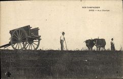 VINTAGE POSTCARD Folklore With the fields Oxen