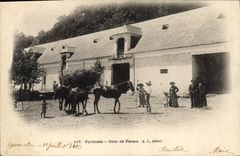 CPA Folklore Pyrenees Cour de ferme 