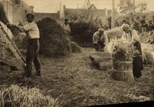CPA Folklore Normandie Pour la confection et l'entretien de nos belles toitures de chaume 