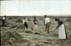 CPA Folklore Les foins 