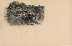 POSTAL Militaria de la VENDIMIA en la cortina de rifles