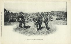 POSTAL Militaria de la VENDIMIA la posición de la acopio