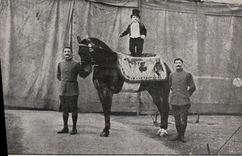 CPA Foklore Nain Cheval