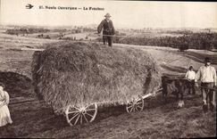 VINTAGE POSTCARD Folklore Noste Ouvergne the haymaking
