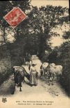 CPA Folklore Nos delicieuses routes de campagne Attaque de front Un passage bien garde 