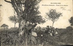 CPA Militaria Manoeuvres Mitrailleuse dissimulee Etude de la distance