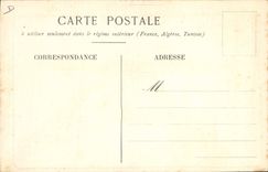 VINTAGE POSTCARD Style has feather Waterman Publicite