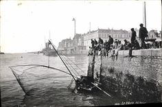 Barco Le Havre Sinning de la POSTAL de la VENDIMIA