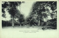 VINTAGE POSTCARD Insitution Moucheront Fontenay under Wood the large lawn of the park