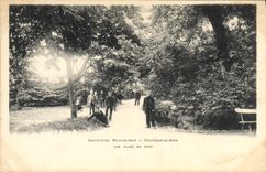 CPA Insitution Moucheront Fontenay sous Bois Une allee du parc