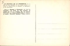 VINTAGE POSTCARD the castle of Prosperity