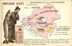 VINTAGE POSTCARD Emulsion Scott Poisson Department the Lower Loire Nantes Chateaubriant Saint Nazaire Cow