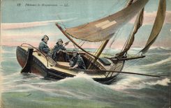 Caballas Sinning de los pescados del barco de la POSTAL de la VENDIMIA