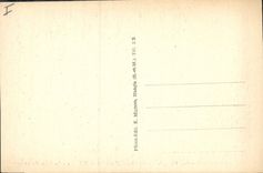 VINTAGE POSTCARD Foundation Pereire Tournan in Brie the park of Louvre