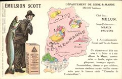 VINTAGE POSTCARD Emulsion Scott Department the Seine and Marne Melun Meaux Layered branches