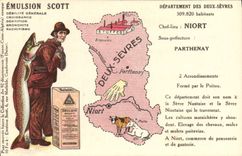 VINTAGE POSTCARD Emulsion Scott Departement Two Separate Niort Parthenay