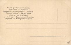 TAPA de la mujer de las instalaciones de Renee Debauga Chroms de la fotografía de la POSTAL de la VENDIMIA