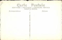 VINTAGE POSTCARD Napoleon 1st paternal Government